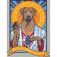 Animal Integration-DW 1115